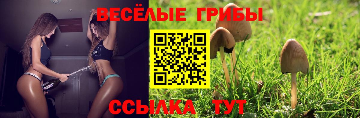 Кимры  магазин продажи наркотиков  Вход с VPN  Псилоцибиновые грибы Cubensis 